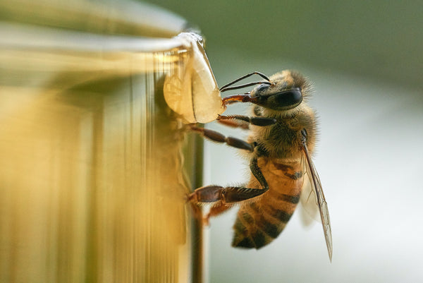 Raw Welsh Honey