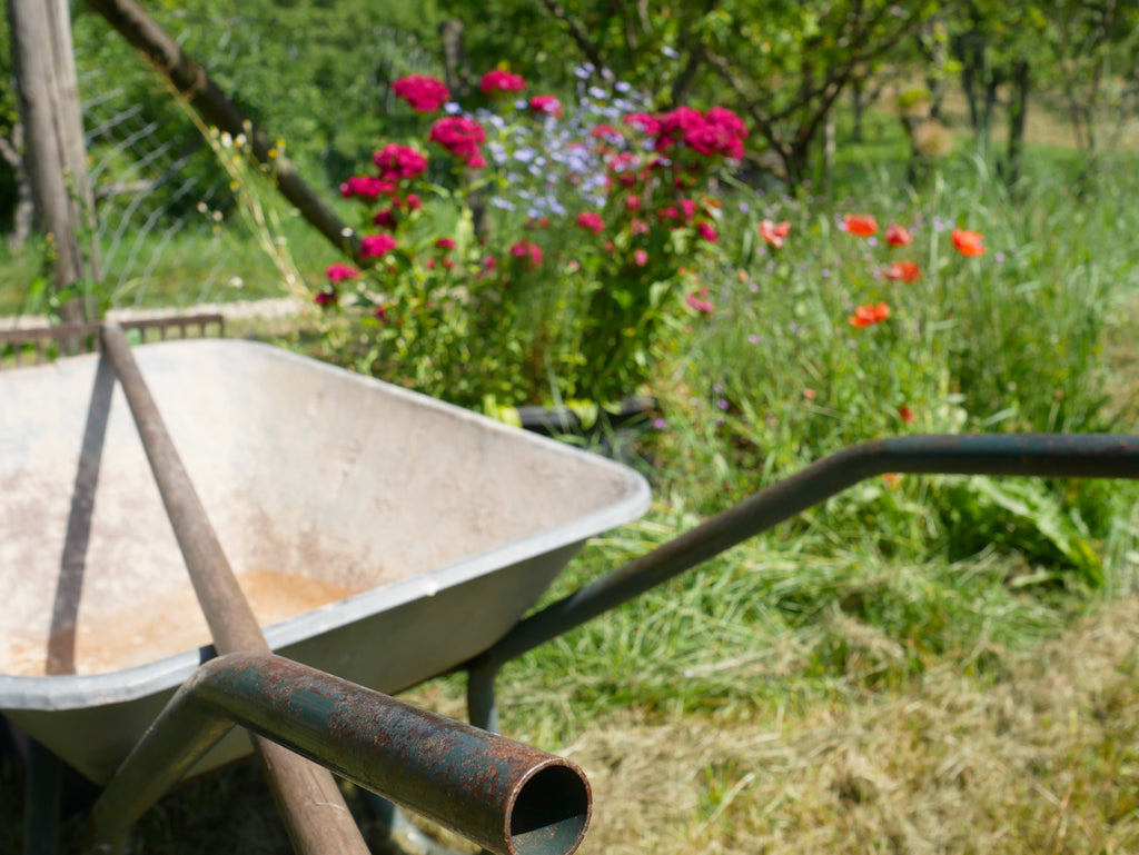 How to Produce a Pollinator & Planet Pleasing Place