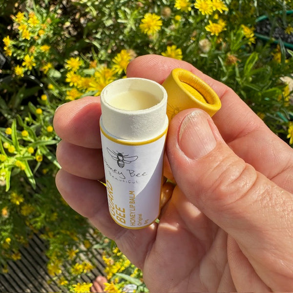 5 Flavour Lip Balm Stack
