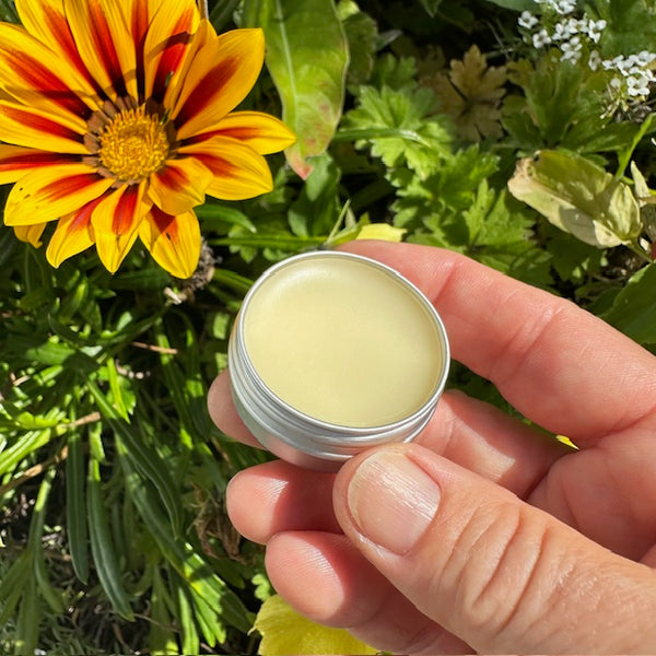 5 Flavour Lip Balm Stack