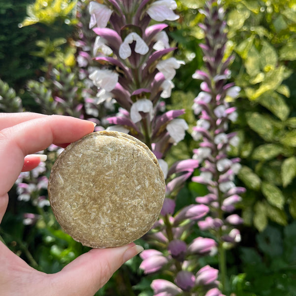 Glossy Bee Shampoo Bar for Normal/Oily & Dandruff Prone Scalp