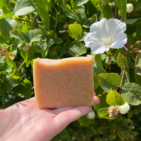 Sensitive Bee Fragrance Free Shampoo Bar
