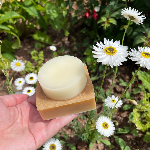 Sensitive Bee Fragrance Free Conditioner Bar