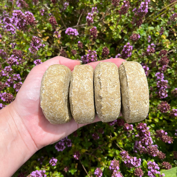 4 Shampoo Bar Bundle