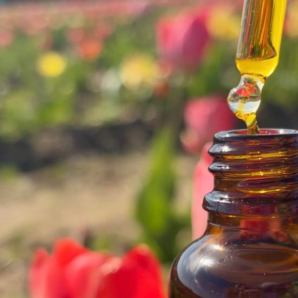 Busy Bee Facial Oil for Combination Skin