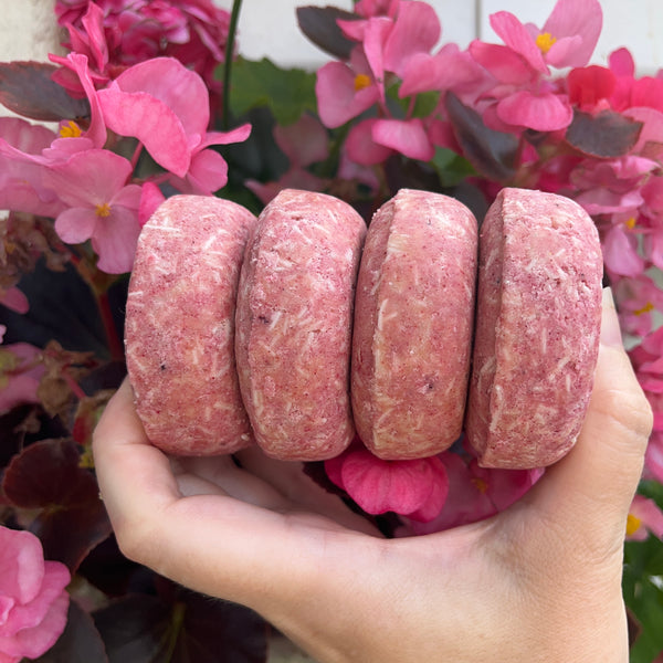 4 Shampoo Bar Bundle