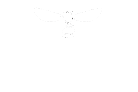 Honey Bee Beautiful